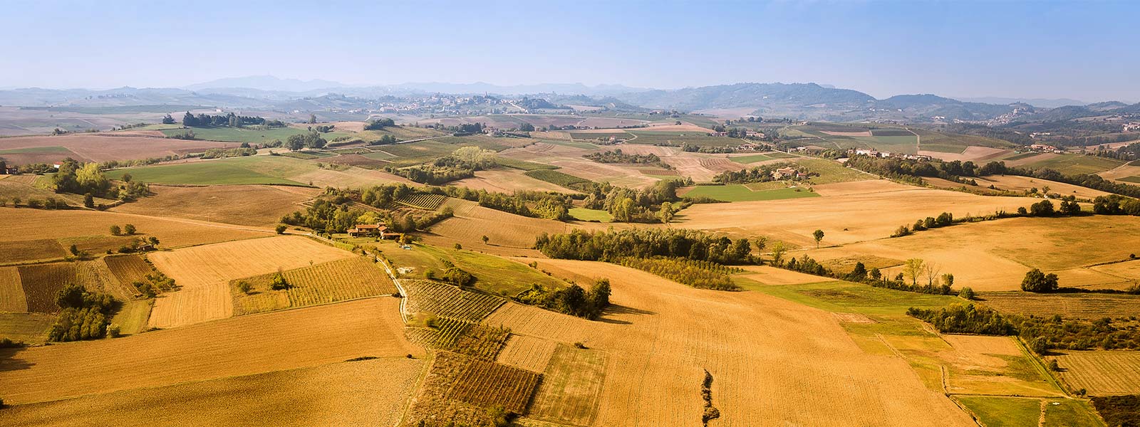 Mazzetti Region