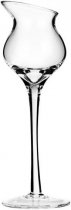 Mazzetti d´Altavilla Grappa Glas von der italienisches Mazzetti d´Altavilla Grappa Glas von der italienisches